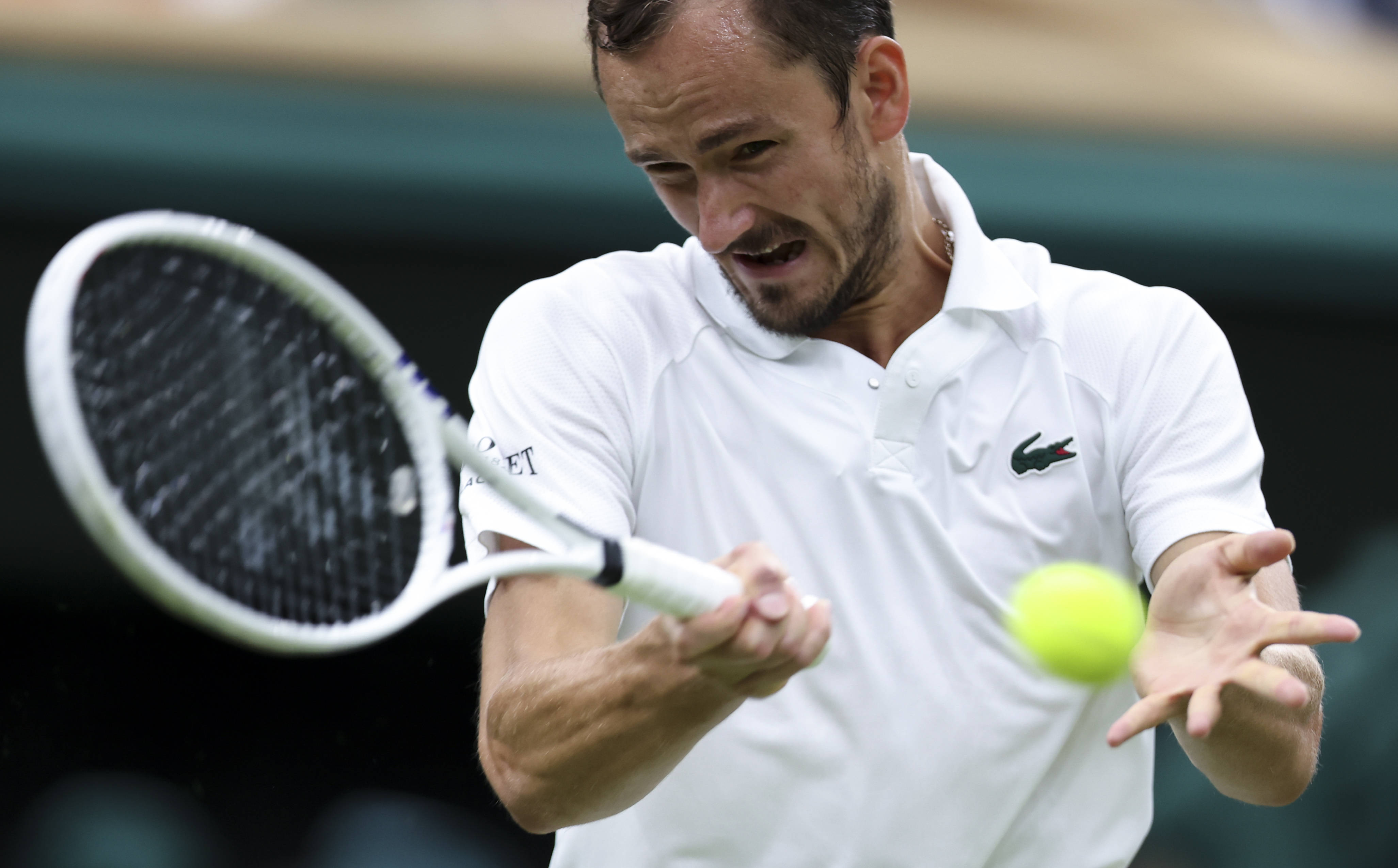 美网横扫温网，梅德韦杰夫刷新纪录的简单介绍